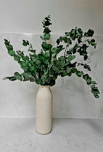 Load image into Gallery viewer, Stems - Preserved Eucalyptus Bunch