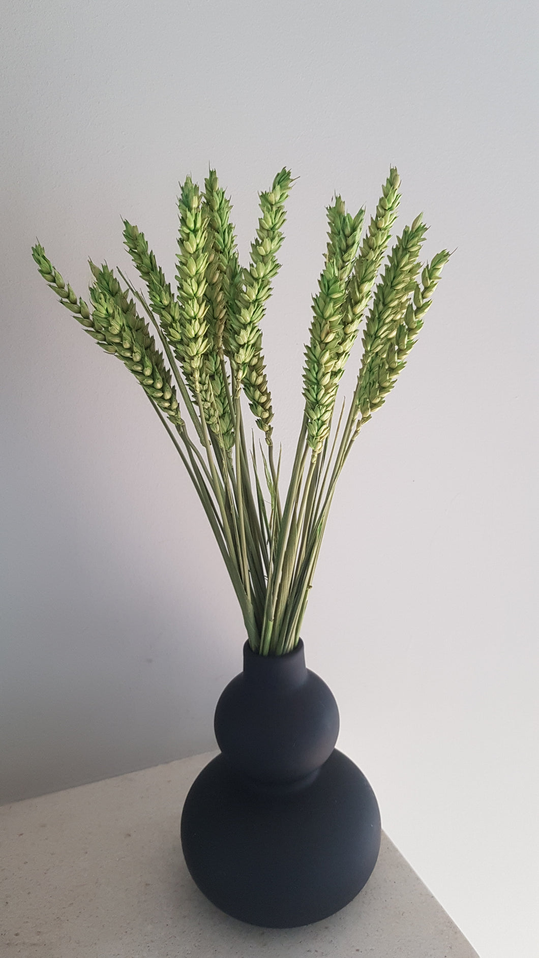 Stems - Wheat Flower (Green)