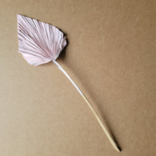 Load image into Gallery viewer, Dried Flower Palm Spear - Pink
