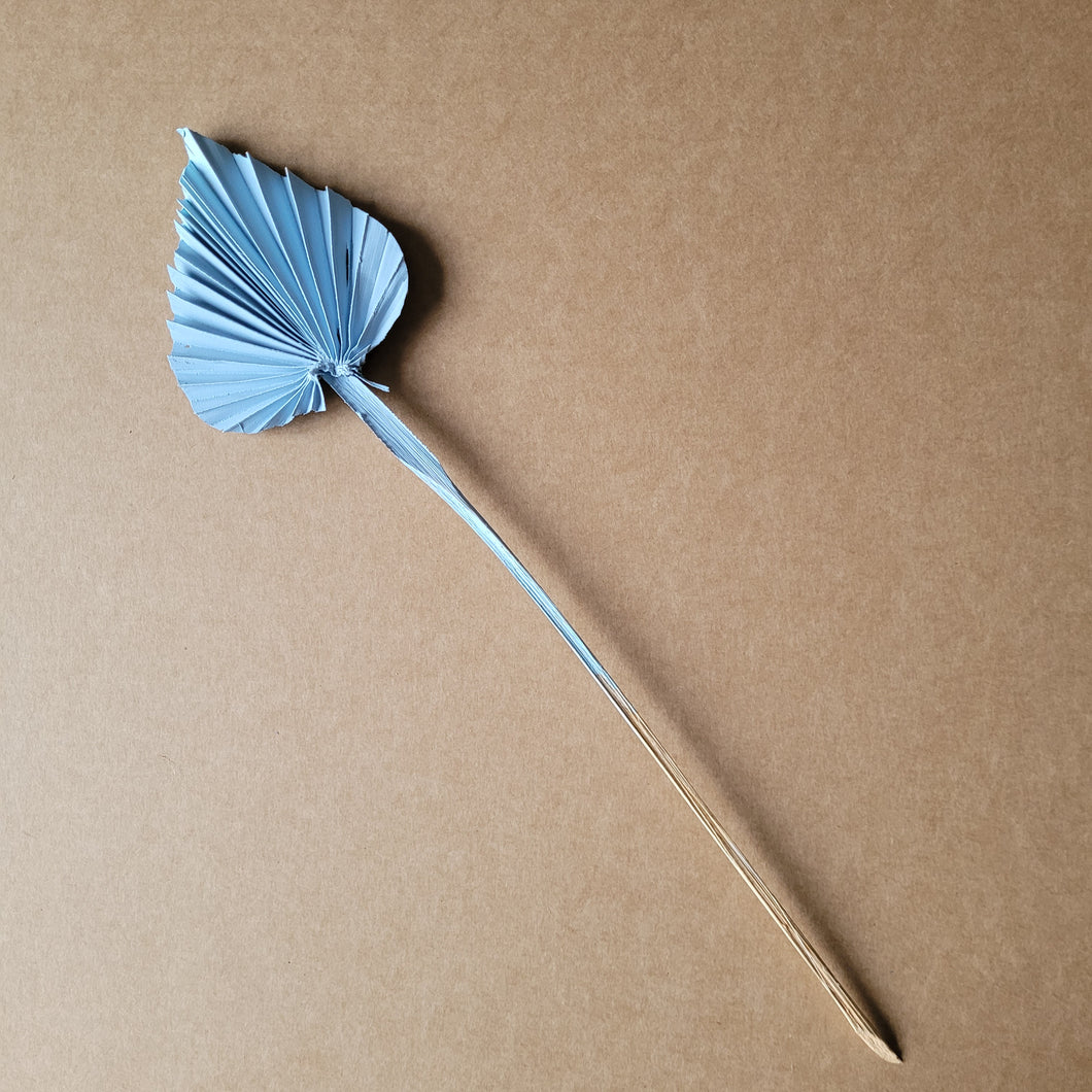 Dried Flower Mini Palm Spear - Blue
