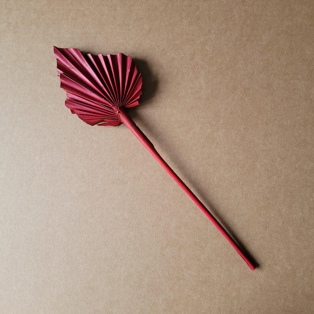 Dried Flower Palm Spear - Red