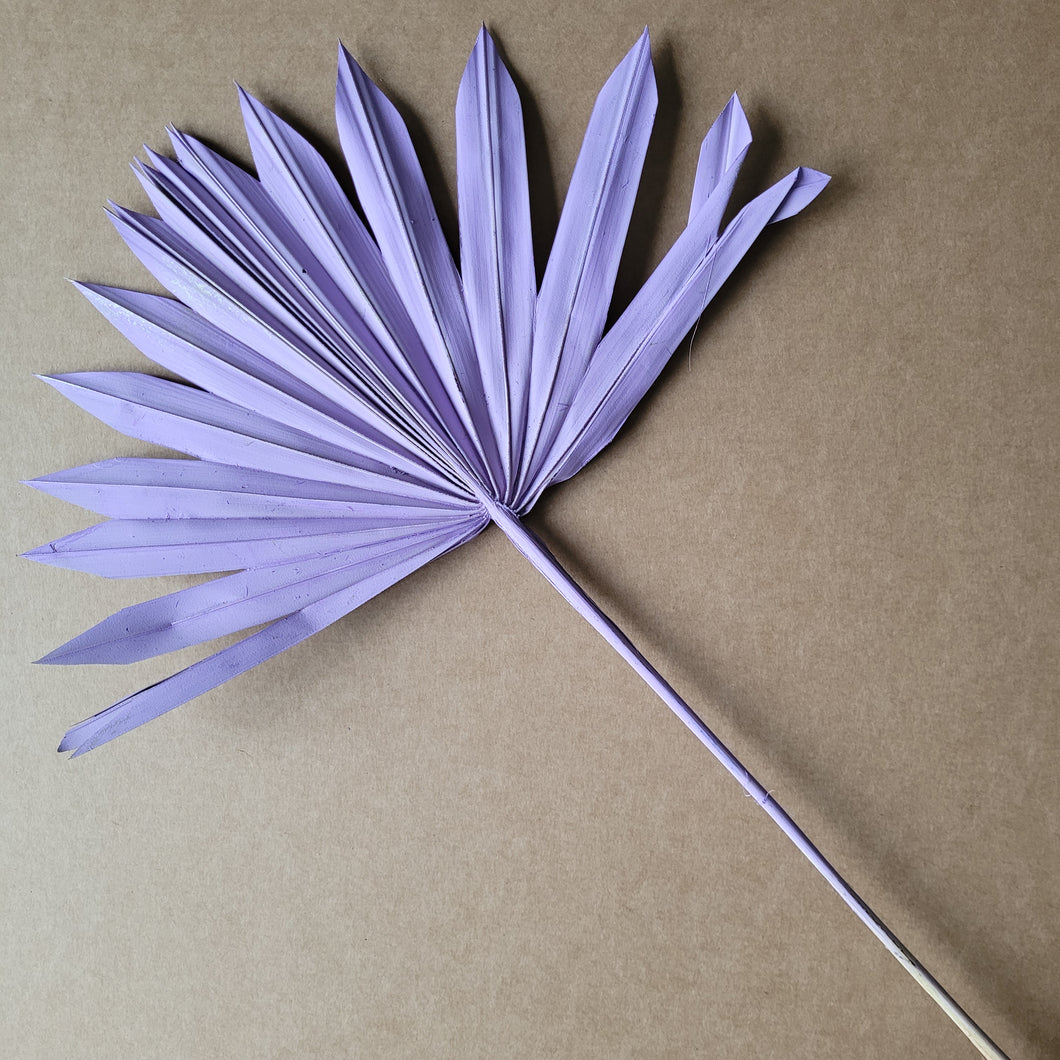 Dried Flower Sun Palm - Purple