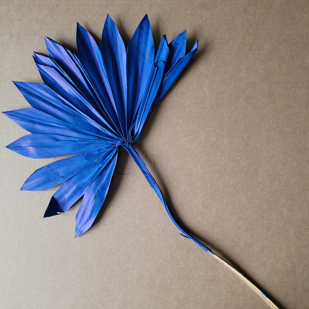 Dried Flower Sun Palm - Dark Blue