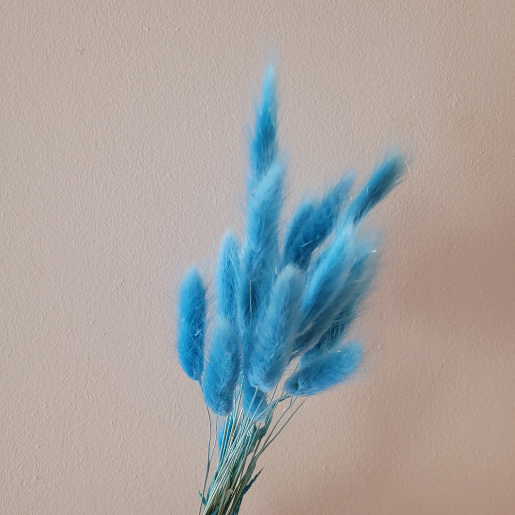 Bunny Tail - Blue