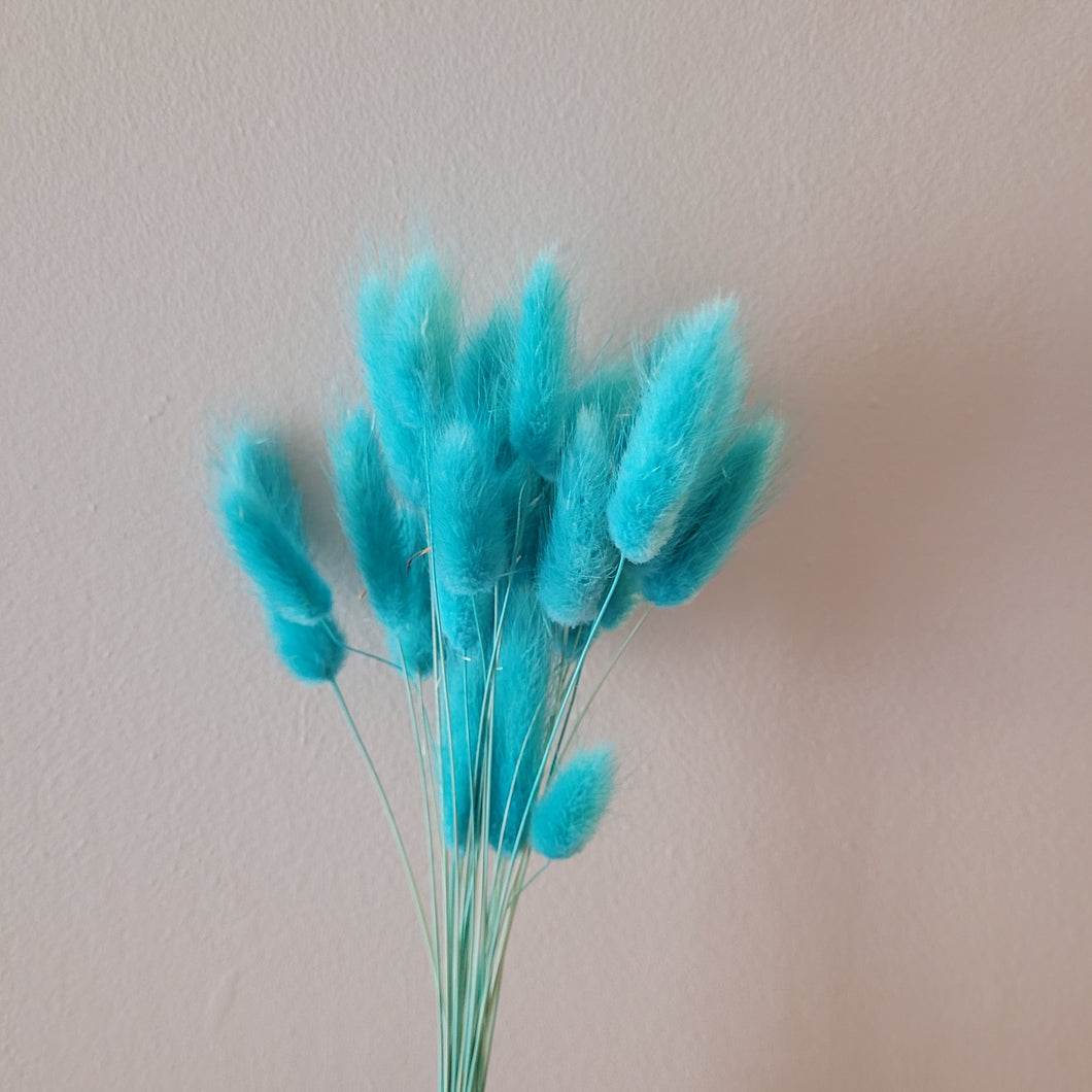 Bunny Tail - Turquoise